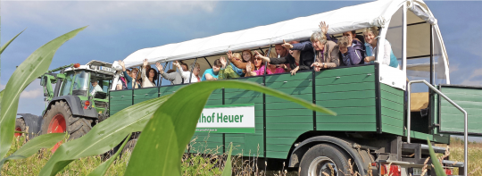 Rollator und Parkbank