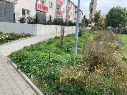 Friedrich-Ebert-Straße 36a-40a